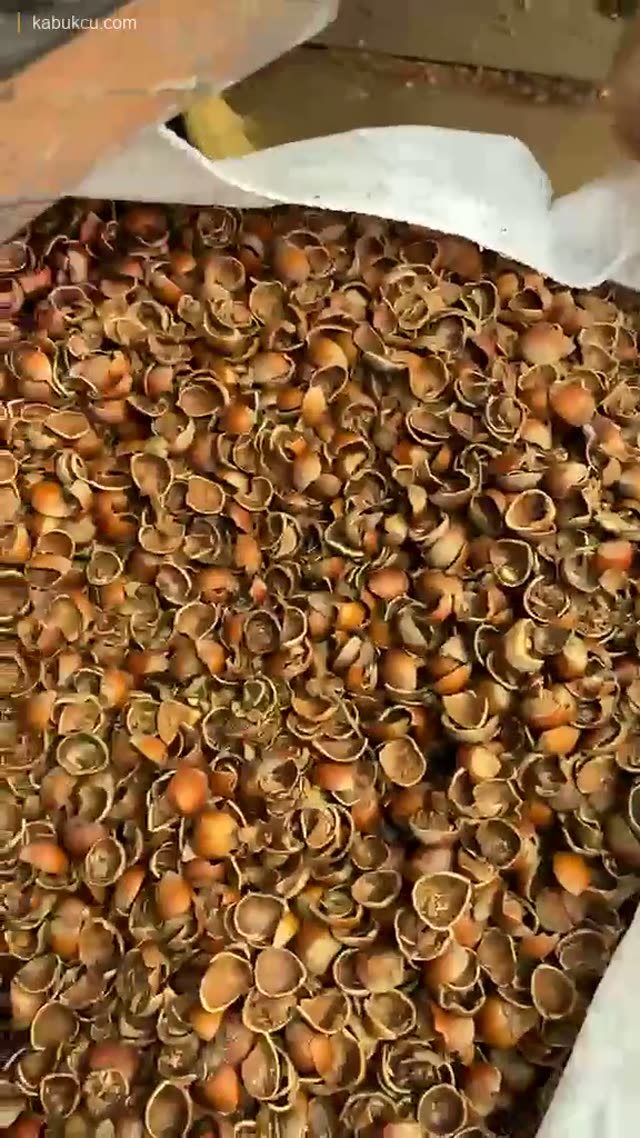 Elle kabuk cuvala doldurma